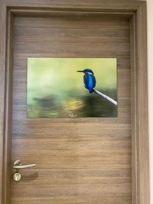 Le Martin Pecheur - Appartement ジェラールメ エクステリア 写真
